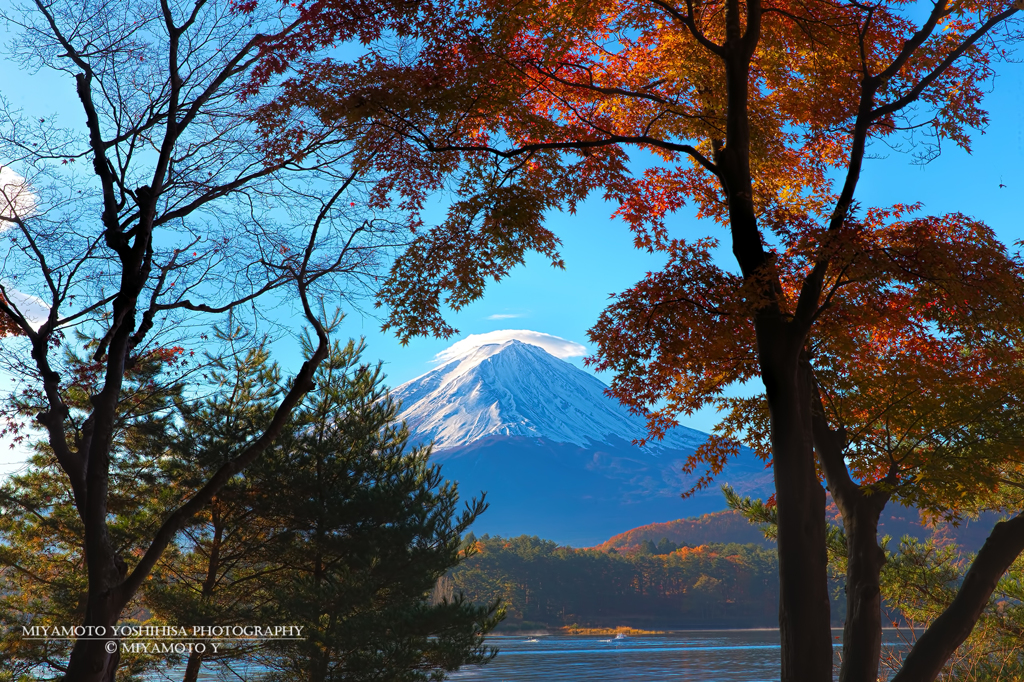 富士山と紅葉