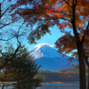 富士山と紅葉