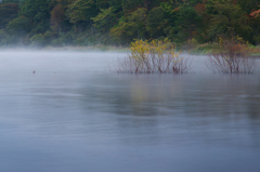 朝霧が立ち込める山中湖