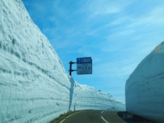 八甲田山～雪の回廊