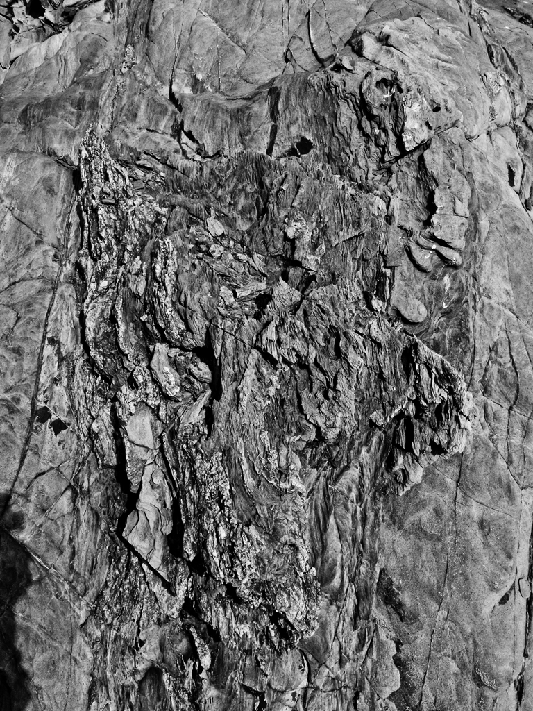 R0019083