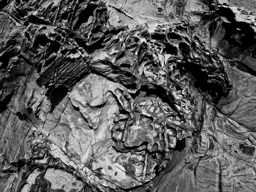 R0019081
