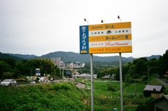 40590009