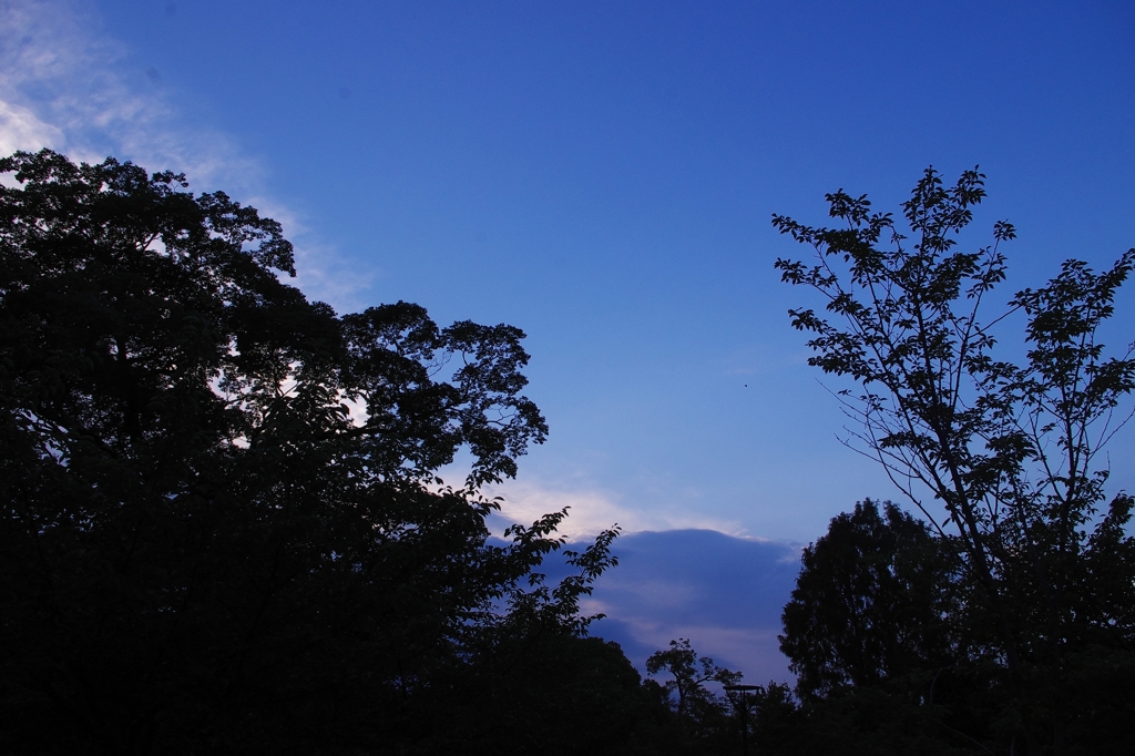 夕暮れ時