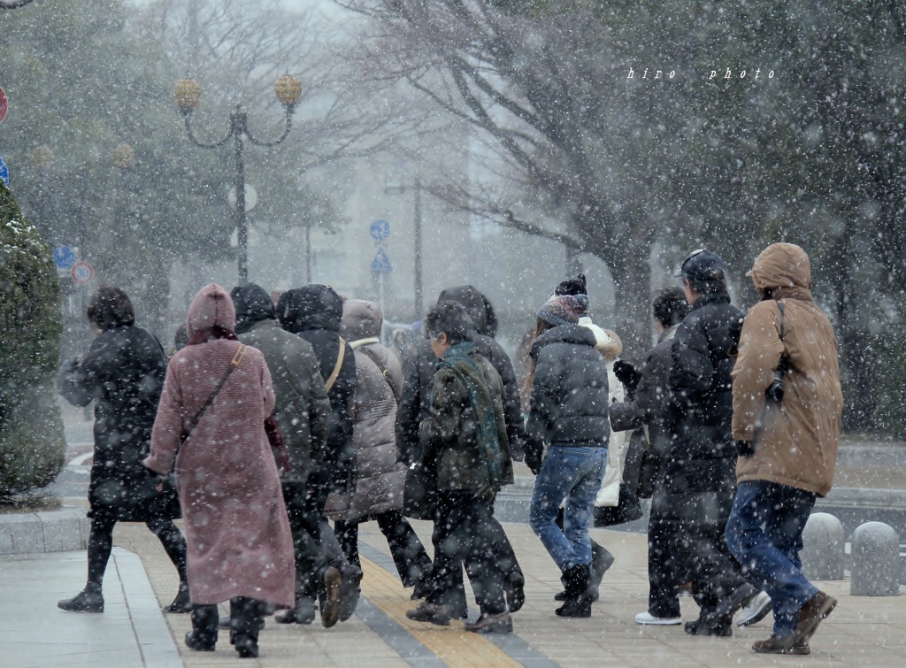 晴れ　のち　雪。