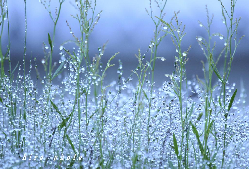 misty  rain