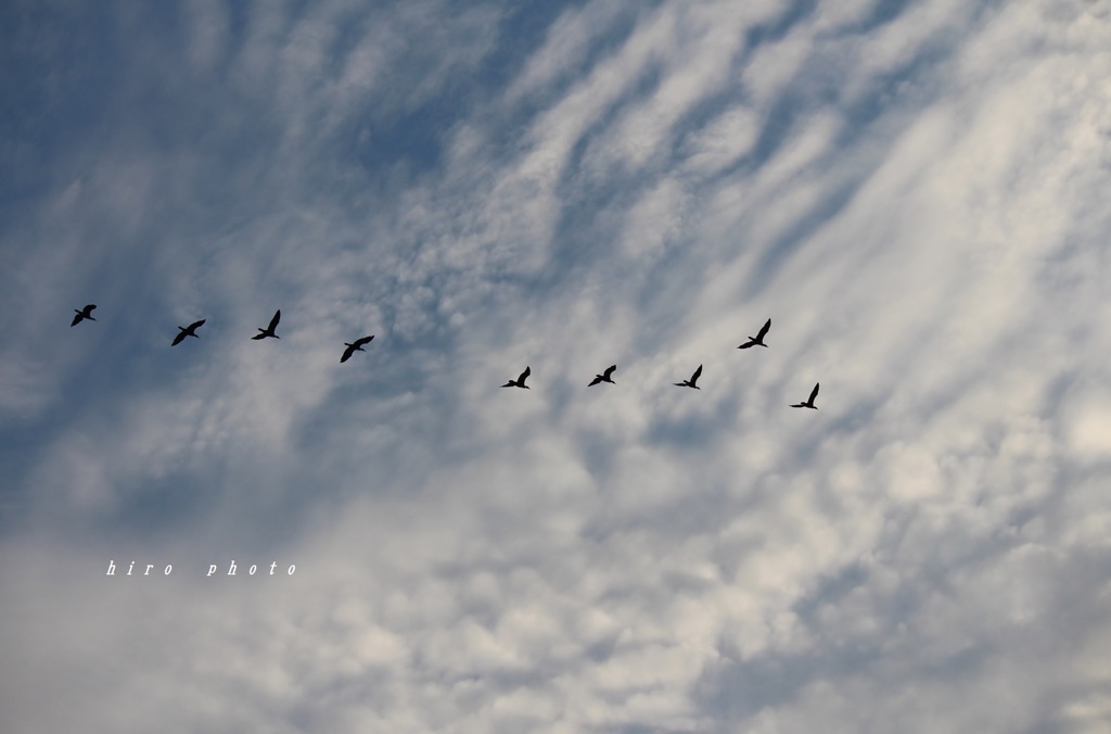 空。