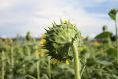 見つめる先には・・・