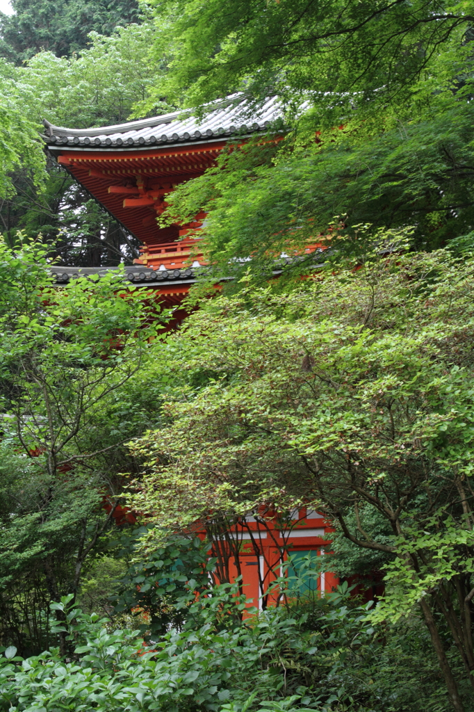 森の中の三重塔