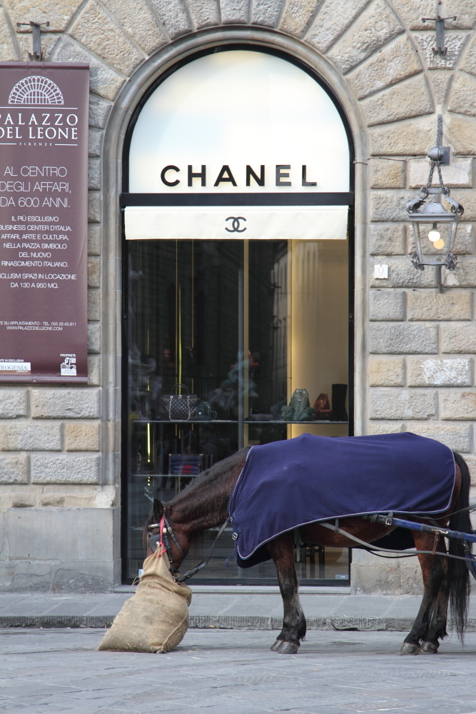CHANELと馬