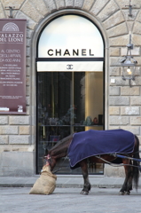 CHANELと馬
