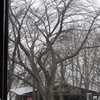 IMG_0587