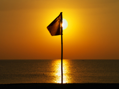 flag in the new year