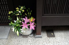 京都・祇園・花見小路