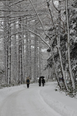 雪国へきてしまいました