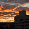 橙色雲