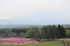 富士山が・・・みえない。