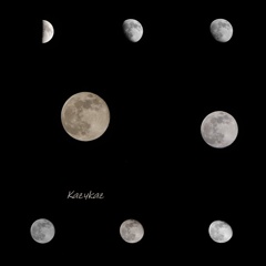 12月の月コラージュ