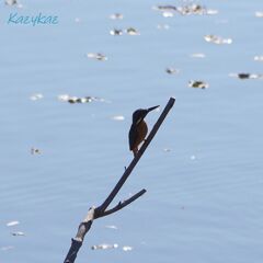 君がいるだけで