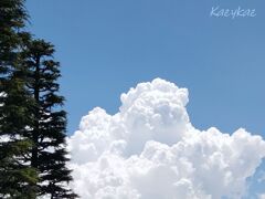 入道雲