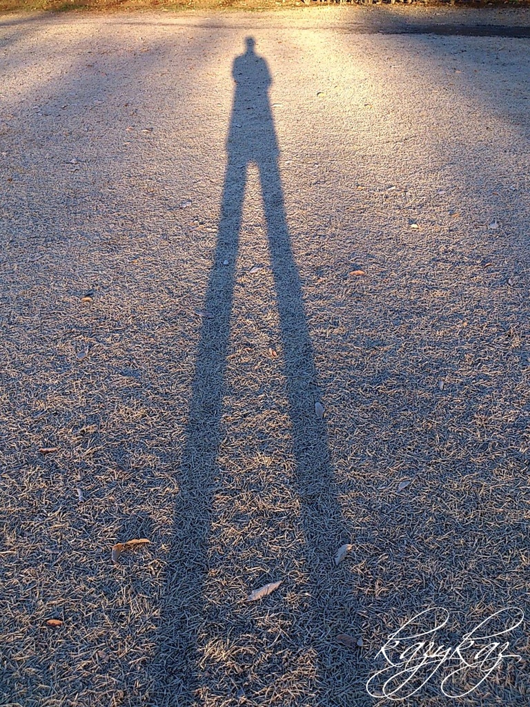 大晦日