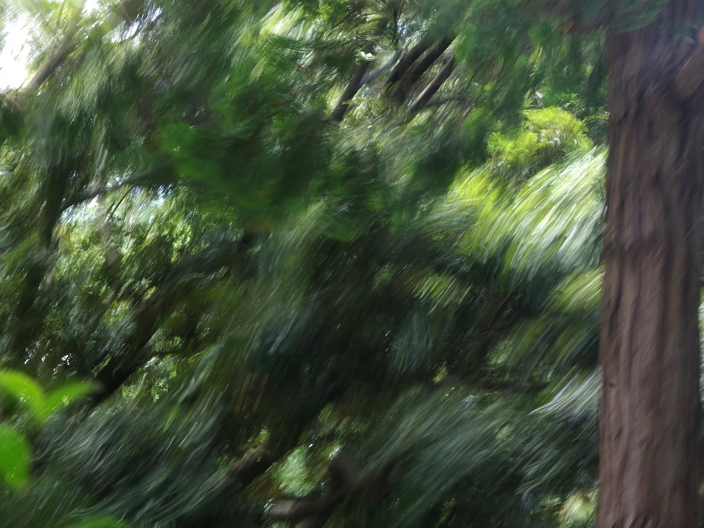 風の流れ
