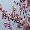 霞む青空