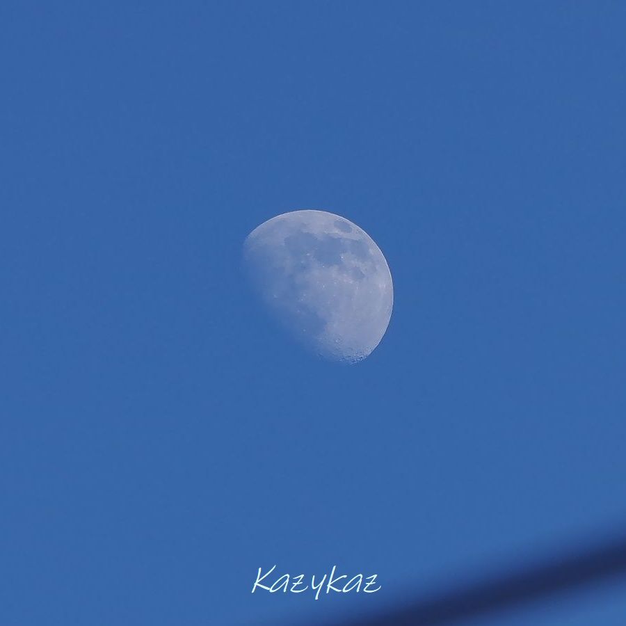 今年もありがとうございました