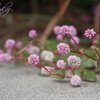這う・あー・ゆー？