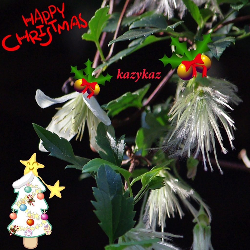 Very Merry Christmas♪