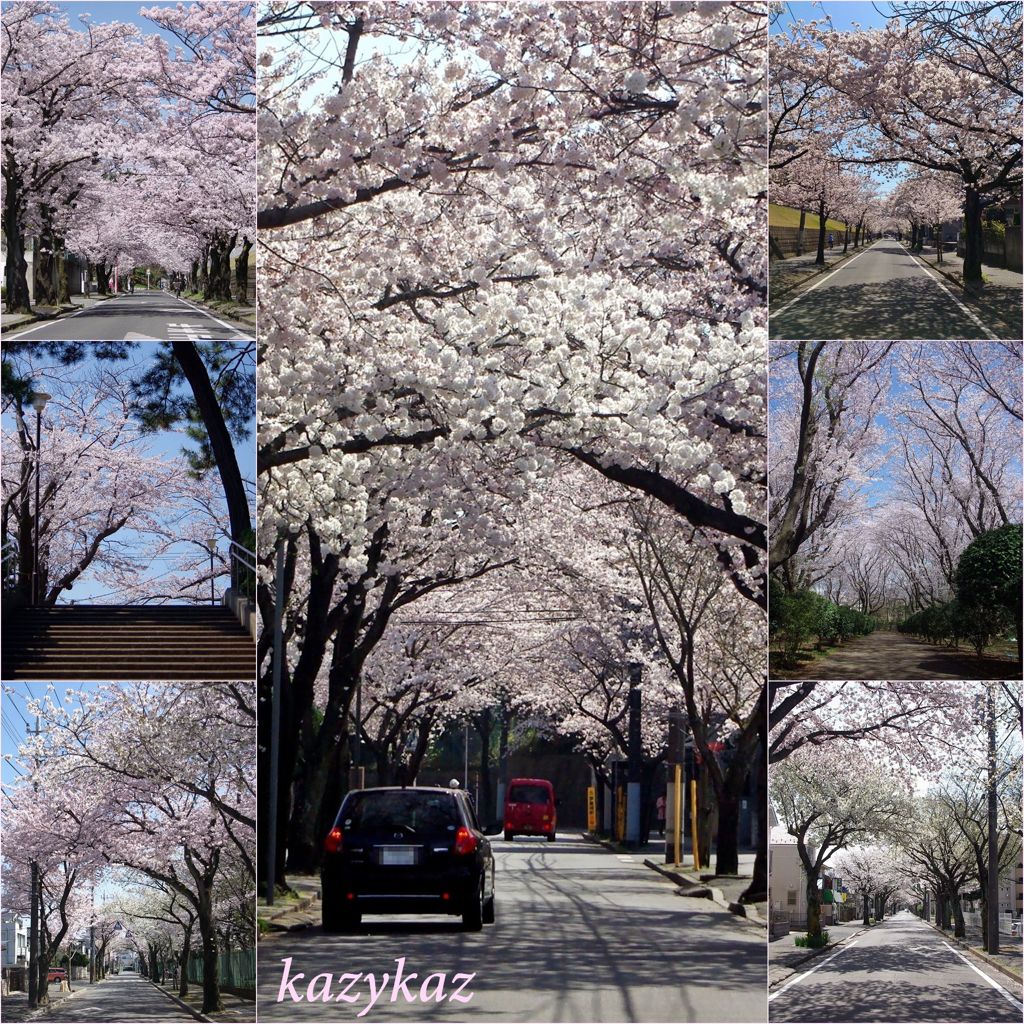 トンネル三昧