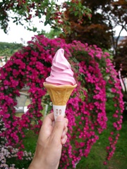バラソフトクリーム