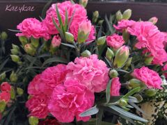 Mother's day