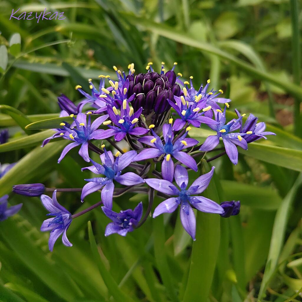 初夏のトキメキ