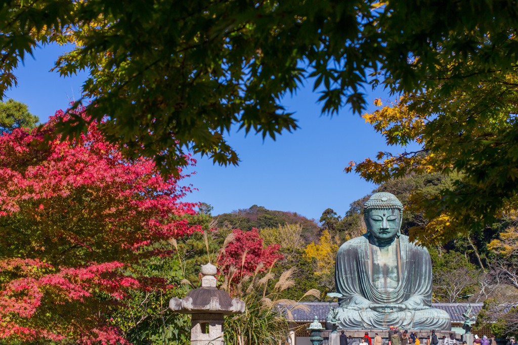 鎌倉の紅葉