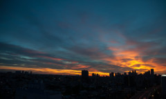 The morning glow
