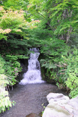 浅間神社の滝