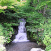 浅間神社の滝