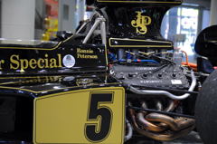 Ronnie Peterson