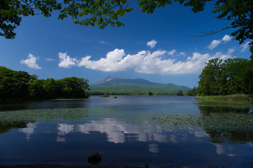 大沼と駒ヶ岳