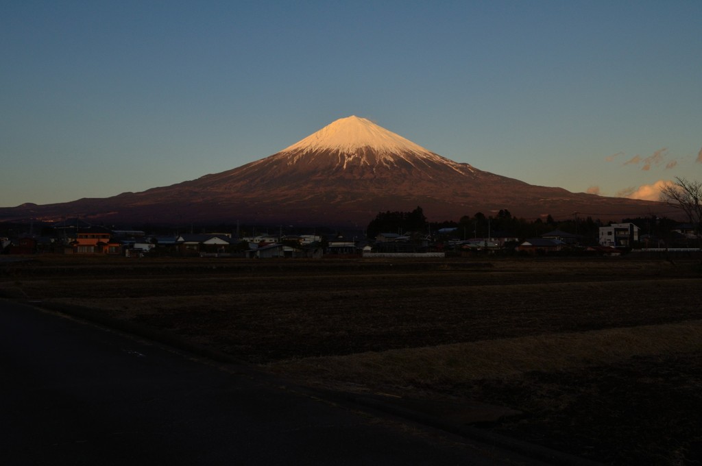 紅富士