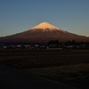 紅富士
