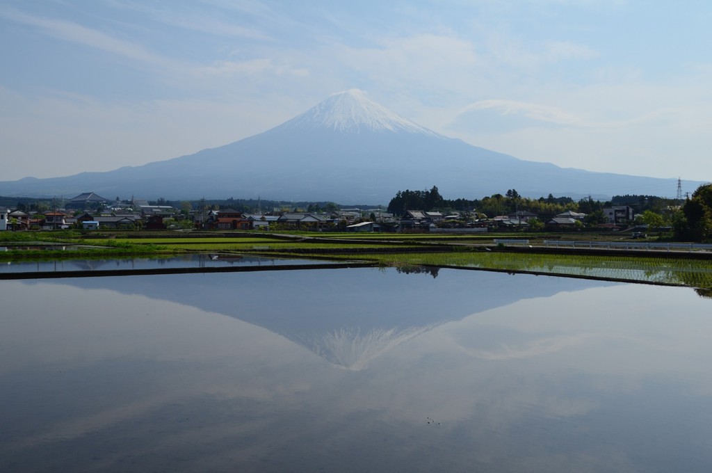 田んぼに逆さ富士