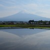 田んぼに逆さ富士