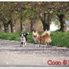 COCO & LATTE