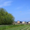 青・緑・アザヤカ☆