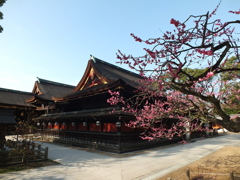 北野天満宮と紅梅