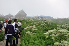 伊吹山 