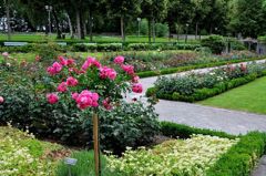 バラ公園
