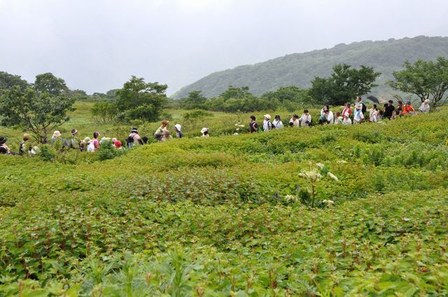 伊吹山 